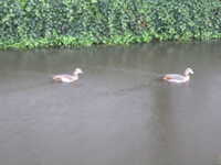  2010-11-14 10.32.21.JPG 